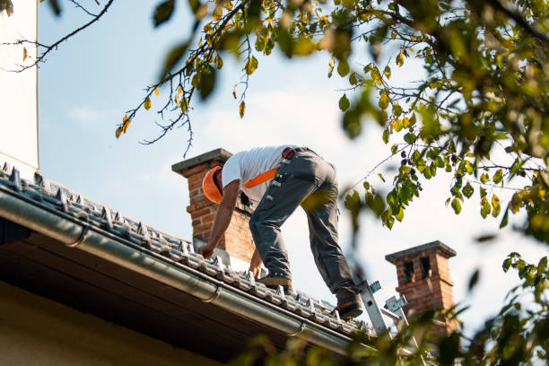 Best Rubber Roofing (EPDM, TPO)  in Jackson, MI