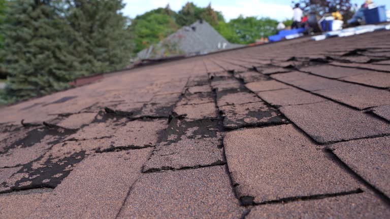 Best Flat Roofing  in Jackson, MI