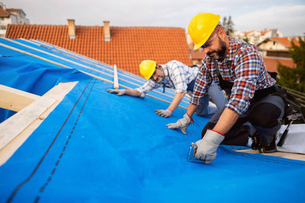 Best Metal Roofing Installation  in Jackson, MI