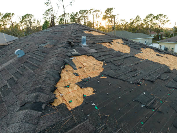 Best Roof Moss and Algae Removal  in Jackson, MI