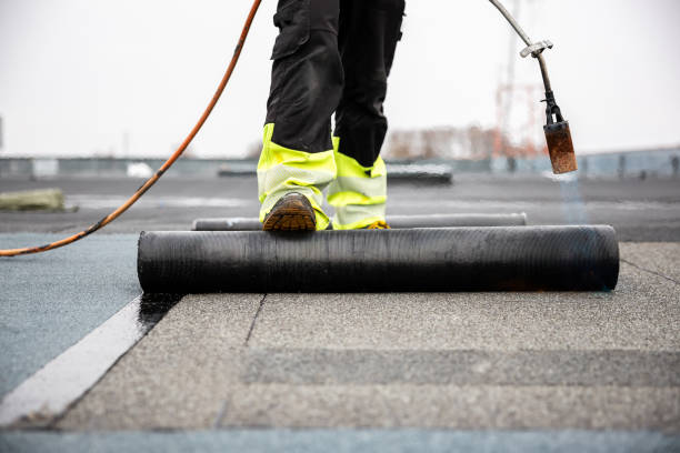 Best Asphalt Shingle Roofing  in Jackson, MI