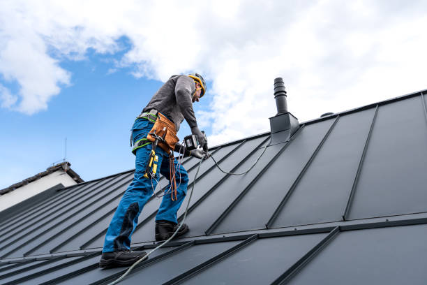 Best Roof Maintenance and Cleaning  in Jackson, MI